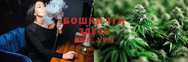 мдпв Елизово